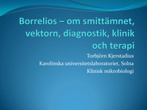 Borreliainfektioner diagnostik, klinik, terapi