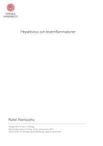 Hepatitvirus och leverinflammationer Rahel Alemayehu