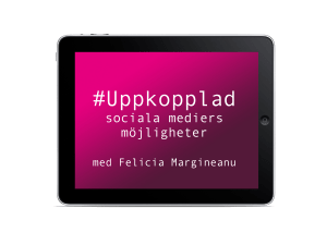 Margineanu, Sociala mediernas möjligheter