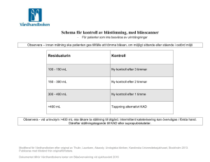 Schema för kontroll av blåstömning, med