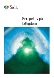 Perspektiv på fattigdom