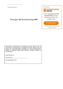 Företaget AB Årsredovisning 2009