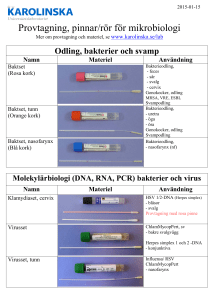 Provtagning, pinnar/rör för mikrobiologi