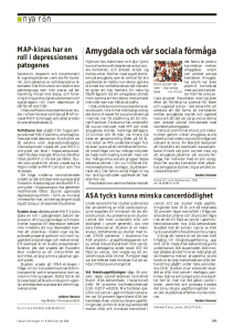 Amygdala och vår sociala förmåga