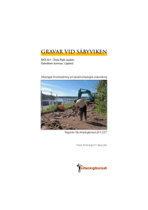 GRAVAR VID SäBYVIKEN