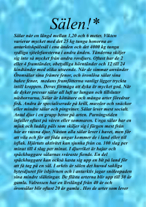 Sälen!* Sälar når en längd mellan 1,20 och 6 meter. Vikten varierar