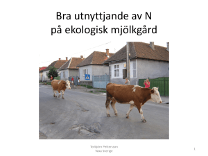 Bra utnyttjande av N på ekologisk mjölkgård