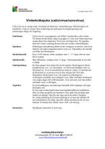 Vinterkräksjuka (calicivirus/norovirus)