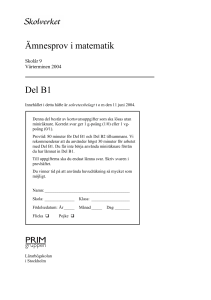 Ämnesprov i matematik Del B1