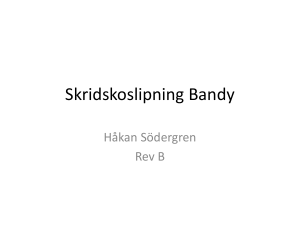 Intersport Skridskoslipning Bandy