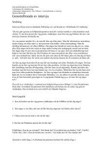 Intervjuguide 060319