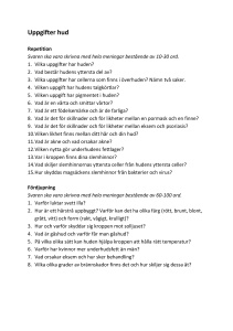 Uppgifter hud - Andreas undervisning