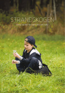 strandskogen - Mörbylånga kommun