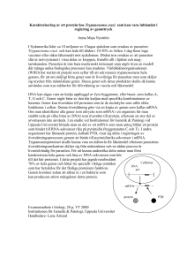 Karakterisering av ett protein hos Trypanosoma cruzi som binder till