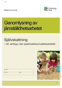 Självskattning-av-jämställdhetsarbetet 328kb
