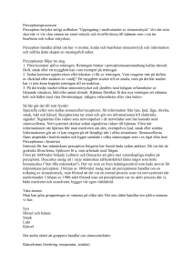 Perception och minne