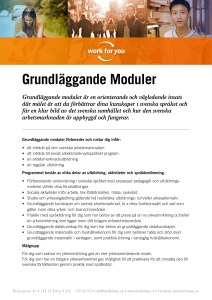 Grundläggande Moduler