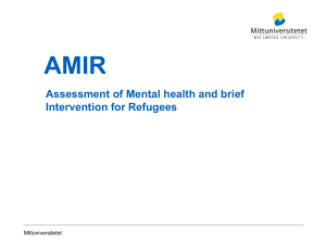 AMIR - Mittuniversitetet
