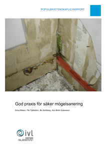 God praxis för säker mögelsanering