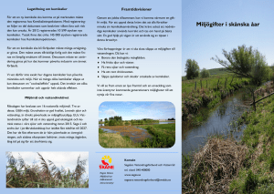 Miljögifter i Skånska åar. Informationsbroschyr 2013