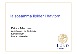 Hälsosamma lipider i havtorn