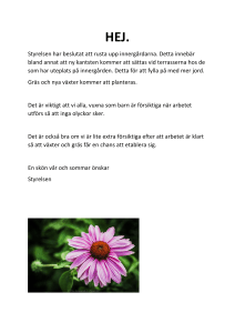 Styrelsen har beslutat att rusta upp innergårdarna. Detta innebär