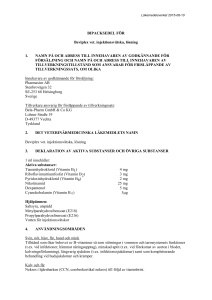 Beviplex vet. solution for injection PL