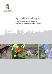 Nyttodjur i odlingen