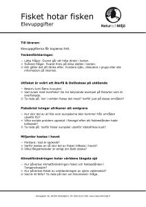 Ladda ner arbetsuppgifterna