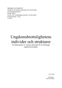 Ungdomsbrottslighetens individer och strukturer