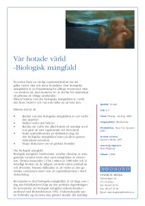 Cinebox infoblad häfte Våren 2007 kompleterad.indd