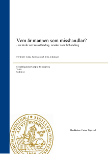 Vem är mannen som misshandlar?