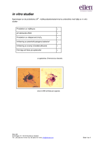 In vitro - Ellen AB