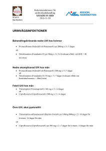 URINVÄGSINFEKTIONER
