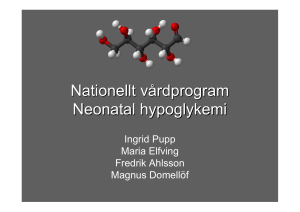 Nationellt vårdprogram Neonatal hypoglykemi