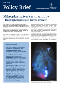 Policy Brief - Stockholms universitet