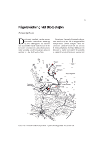 Fågelskådning vid Biotestsjön