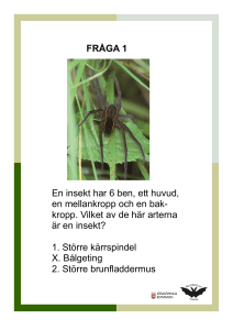 FRÅGA 1 En insekt har 6 ben, ett huvud, en mellankropp och en bak