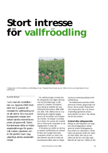 Stort intresse för vallfröodling