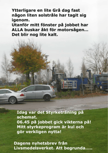 Ytterligare en lite Grå dag fast någon liten solstråle