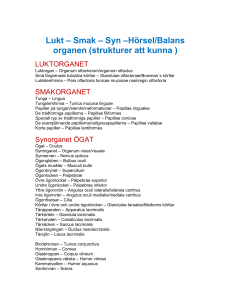 strukturer att kunna sinnena
