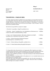 Bilaga 2 Höglands AIK HANDLINGSPLAN Box 72 91702 Högland