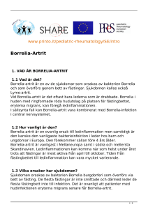 Borrelia-Artrit