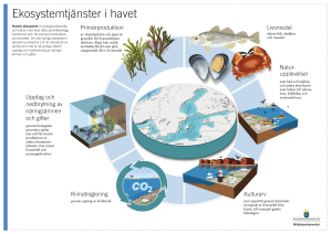 Ekosystemtjänster i havet