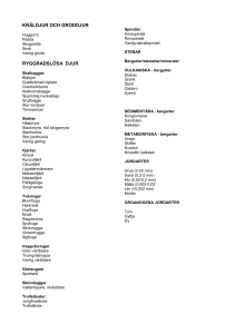 Arttillägg vildmarksguide