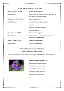 stass program våren 2016