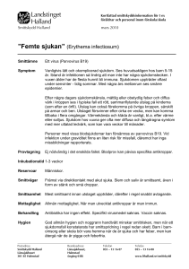 Femte sjukan” (Erythema infectiosum)
