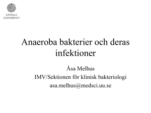 Anaeroba bakterier och deras infektioner