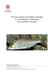 Påverkas mörtars reproduktiva förmåga av användandet av