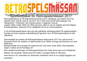 rsm_sponsorpaket 2017